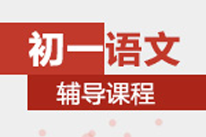 初一语文一对一冲刺辅导课程